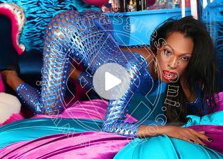 Video trans escort jennifer lopez giussano